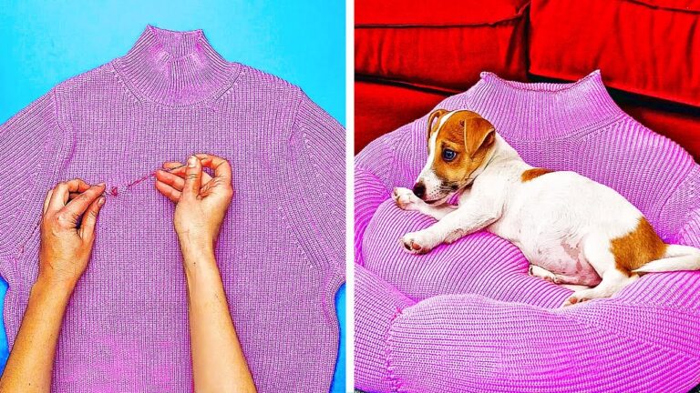 5 ideas geniales para camas de perros en tan solo 5 minutos