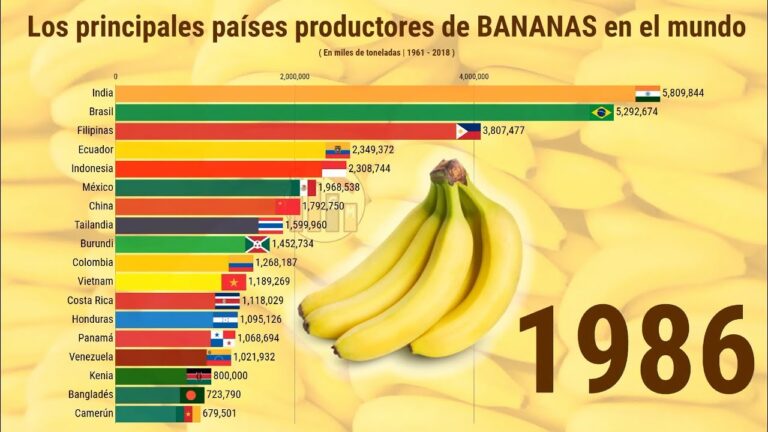 ¡Descubre el origen de la deliciosa banana!